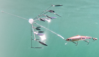 ラスターブレードは2022年新登場の折り畳み可能なアラバマリグ