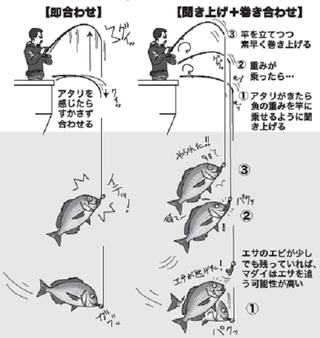 釣り方の図