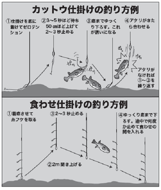 アタリを楽しむ湾フグ地図 フグ