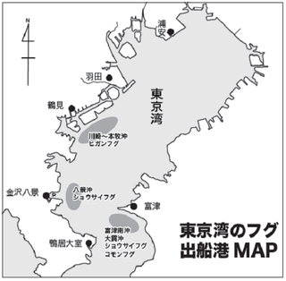 出船港MAP