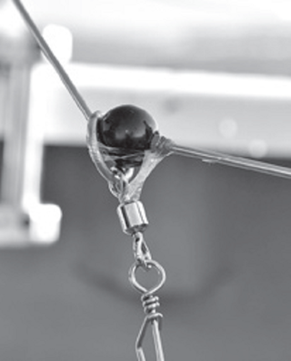 テンビンの写真