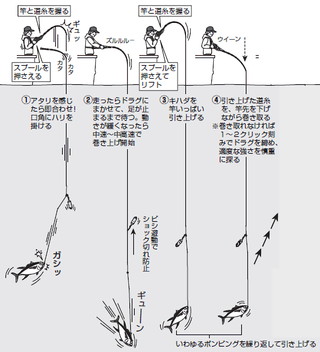 釣り方の図