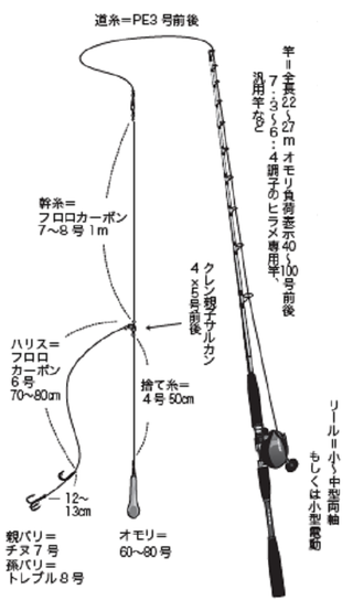 もう迷わない！合わせの秘訣】ヒラメ