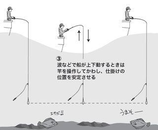 もう迷わない！合わせの秘訣】ヒラメ