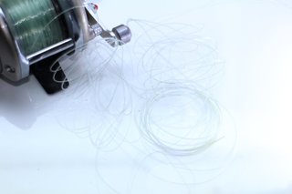 ラインの写真