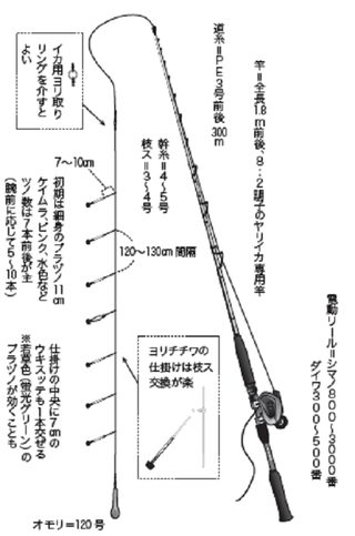 スターは遅れてやってくる！？】ヤリイカ