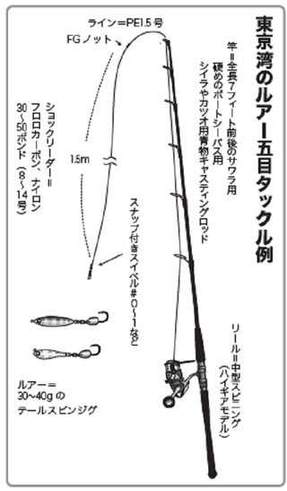 キャスティングで狙う！東京湾のルアー五目入門