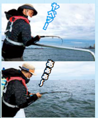 釣行の写真