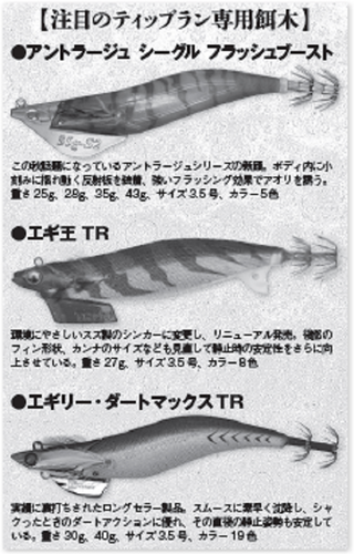 ティップランエギングの始め方～タックル・餌木・釣りのコツを伝授～