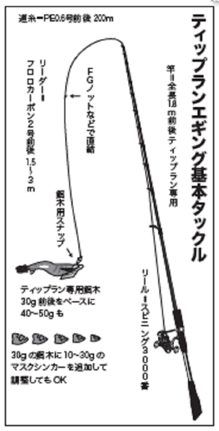 ティップランエギングの始め方～タックル・餌木・釣りのコツを伝授～