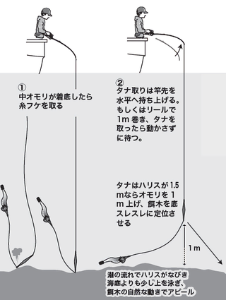 餌木スミイカは初心者でもメチャ楽しめる！船長直伝の仕掛けや