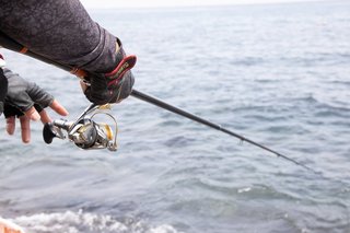 釣り人の手元の写真