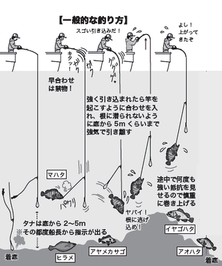 釣り方の図
