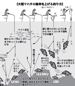 釣り方の図