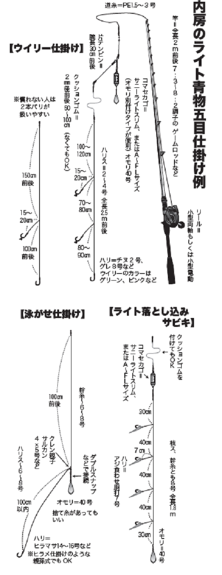 内房のライト青物五目徹底解説！基本のタックルや仕掛けごとの釣り方を