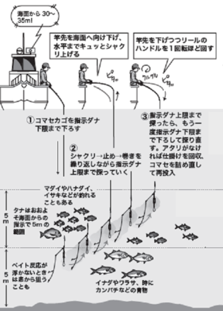 内房のライト青物五目徹底解説 基本のタックルや仕掛けごとの釣り方を伝授します 村井丸 千葉県保田港