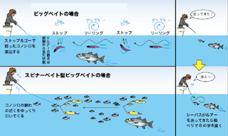 吉岡進の新世代沖釣り方程式（第7回）］東京湾コノシロパターンのシーバス（SEAWOLF／神奈川県本牧港）