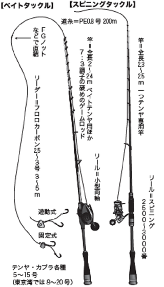 冬のマダイ完全攻略！コマセ・一つテンヤ・タイラバ他、釣法ごとの釣り場や仕掛けを徹底解説します！