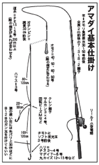 冬のアマダイ完全攻略！関東の出船港を一挙ご紹介！基本のタックルや