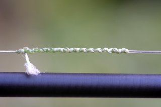 釣り糸の写真