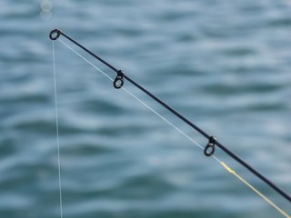 釣り竿とラインの写真