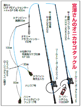 ダイワ(DAIWA) 船竿 極鋭コンセプトゲーム AGS P HHH-205AGS 釣り竿-