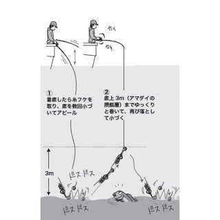 プロが検証！タイラバでアマダイは釣れるのか？アマラバのタックル・仕掛け・基本釣法も徹底解説！