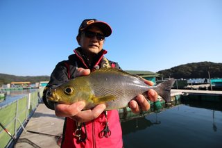 攻め方自由自在！海上釣り堀の名手・林賢治が「がまかつ・海上釣堀アルティメイトスペック」で、高級魚をゲット