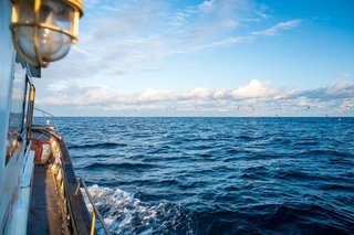 海の写真