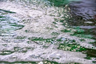 水面の写真