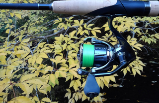 22STELLA 22ステラ　2500SHG　PE0.6号200M付き 22STELLA 22ステラ 2500SHG PE0.6号200M付き Amazon | シマノ