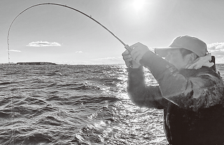 釣行の写真