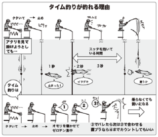 タイム釣りの基本をプロが解説！ゼロテンよりもお手軽に冬のマルイカをゲットしよう！