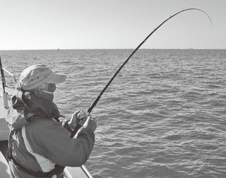 釣行の写真