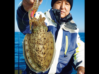 東京湾の伝統釣法・テンヤスミイカを学ぶ！タックルや釣りのコツを徹底解説！（根岸丸／神奈川県磯子港）