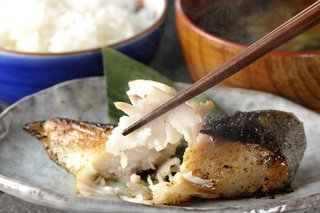 料理の写真