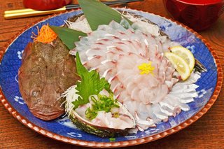 マゴチの写真