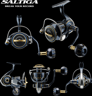 DAIWA ソルティガ