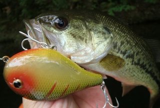 梅雨の時期のバス釣りに使うオススメはこれだ 厳選した3種類のルアーでバスをいざ攻略