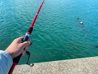 釣りの写真