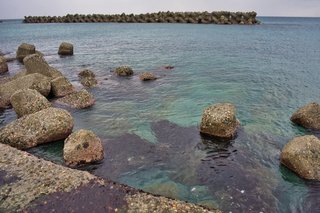 釣り場の写真