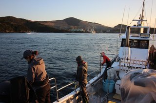 ジギングの名手MALINAが三重・鳥羽沖の寒ブリジギングで魅せた