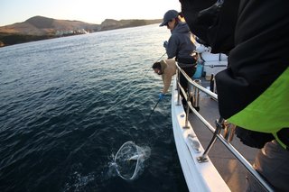 ジギングの名手MALINAが三重・鳥羽沖の寒ブリジギングで魅せた