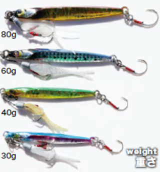 ジグの写真