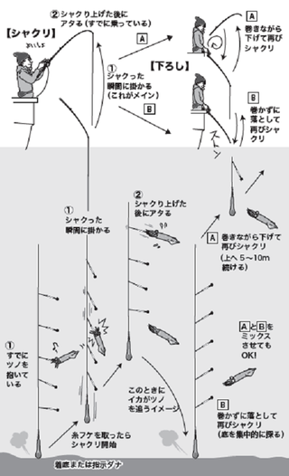 ヤリイカ＆スルメイカ】イカ釣り11の基礎を徹底伝授！【中編】（喜平治丸／三浦半島剣崎間口港）