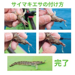エサの付け方