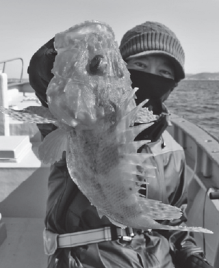 釣り人の写真