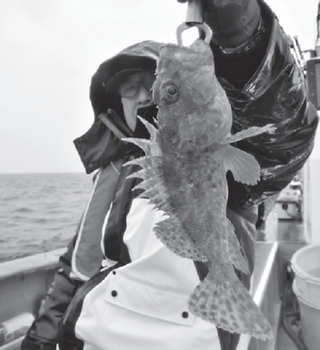 釣り人の写真