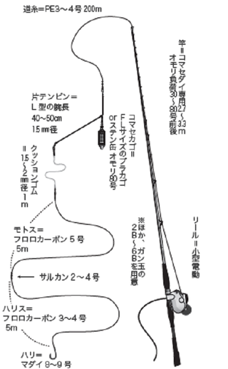 コマセで狙うは乗っ込みの大ダイ！キャッチ率増大のキーポイントを探る