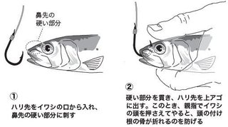 エサの付け方の図